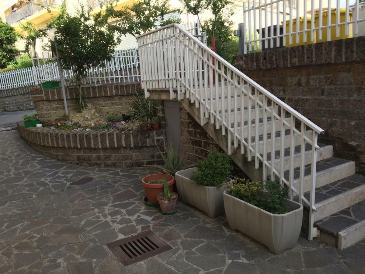 Belvedere Apartment